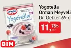 DR. OETKER YOGOTELLA ORMAN MEYVELİ